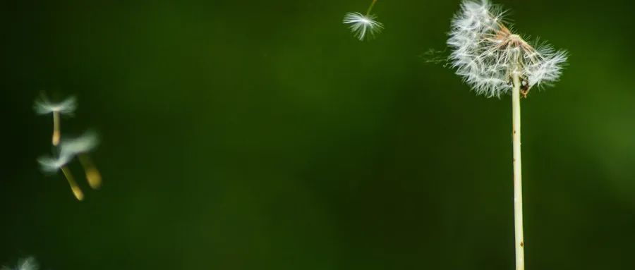 中考语文常见十类成语误用汇编（附100个易错成语）