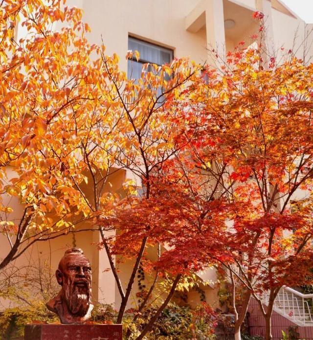 烟台最好的5所高中，2020高考成绩优秀，其中3所有11人挺进省前50