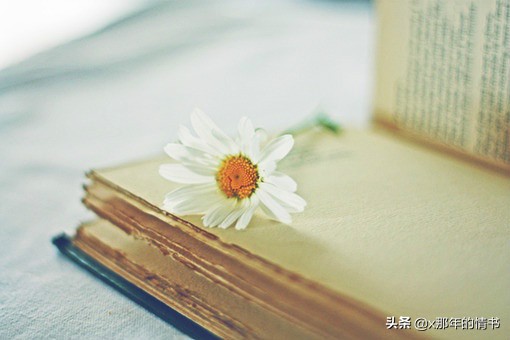 关于爱的名言美句 与爱有关的名言名句图片