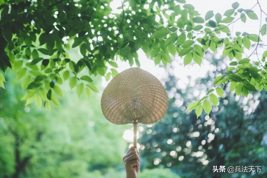 盛夏的味道|始于那一声声的蝉鸣。