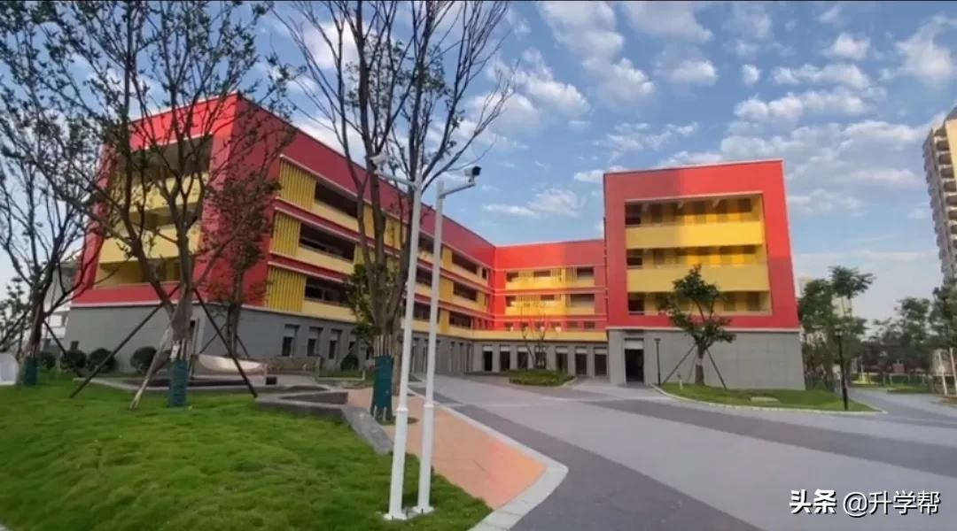成都，疯狂建学校！城南大有看头