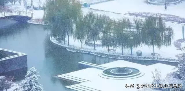 阳光正好丨多维度、高清图，带你一起了解咸阳职业技术学院