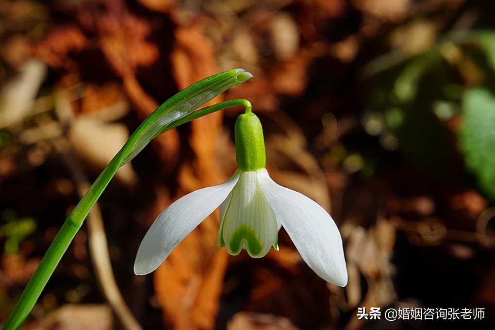 婚姻：出轨后，你能得到的最好的帮助，就是帮你慢下来