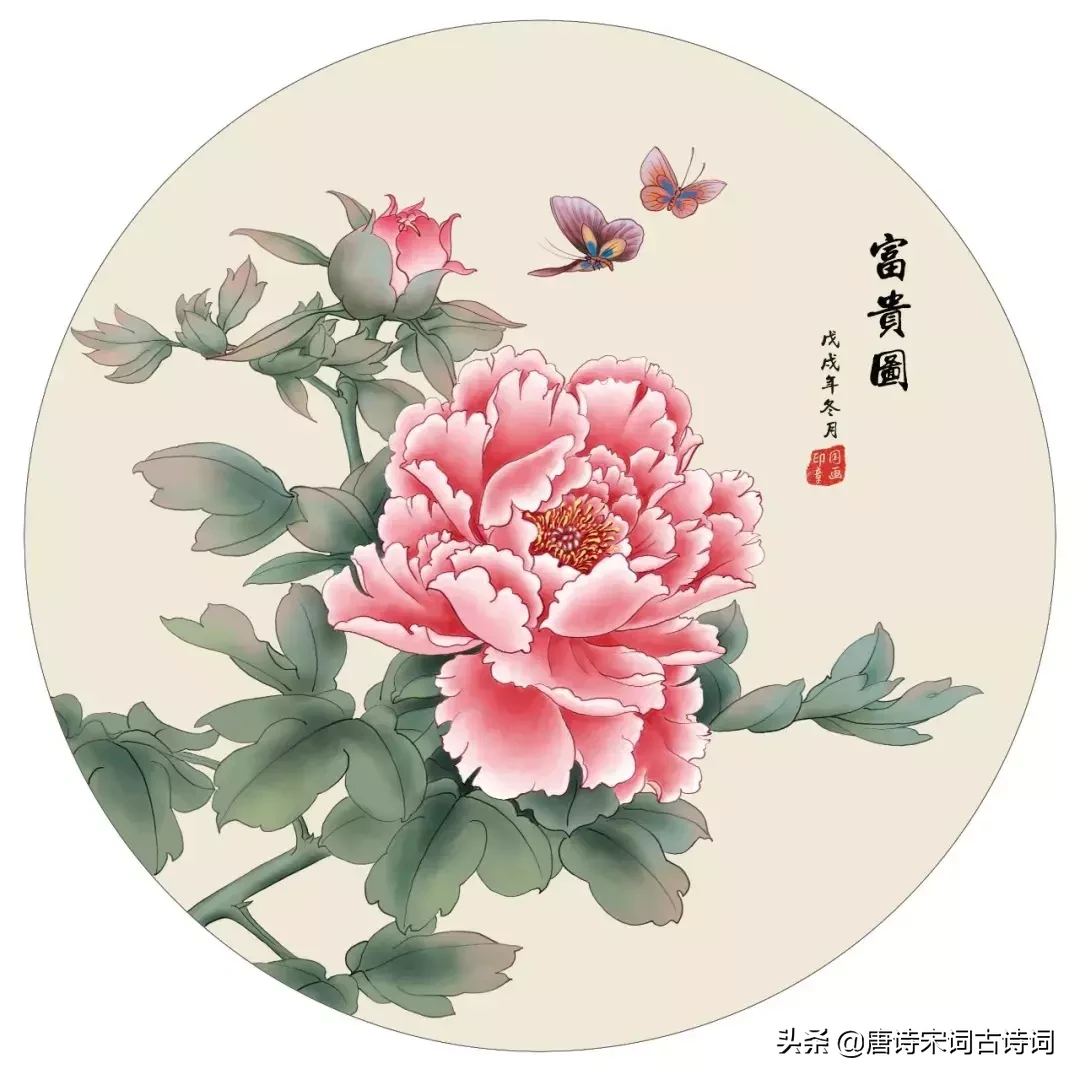 十二首牡丹诗词，哪一首是你心目中的牡丹形象呢？