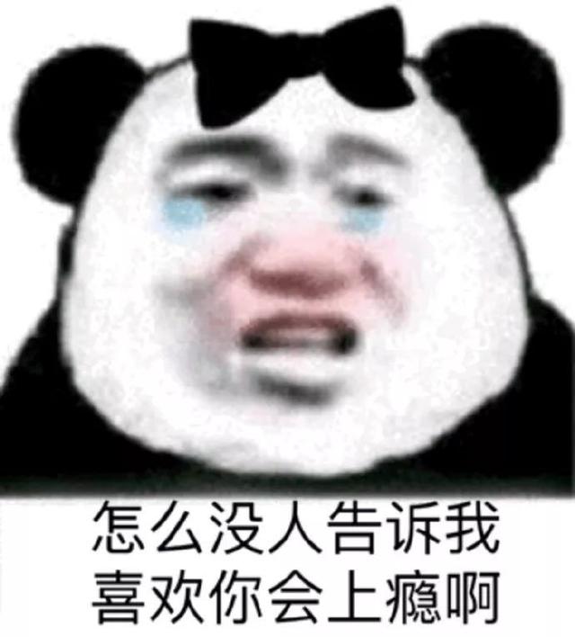 熊猫头撩汉表情包怎么没人告诉我，喜欢你会上瘾啊