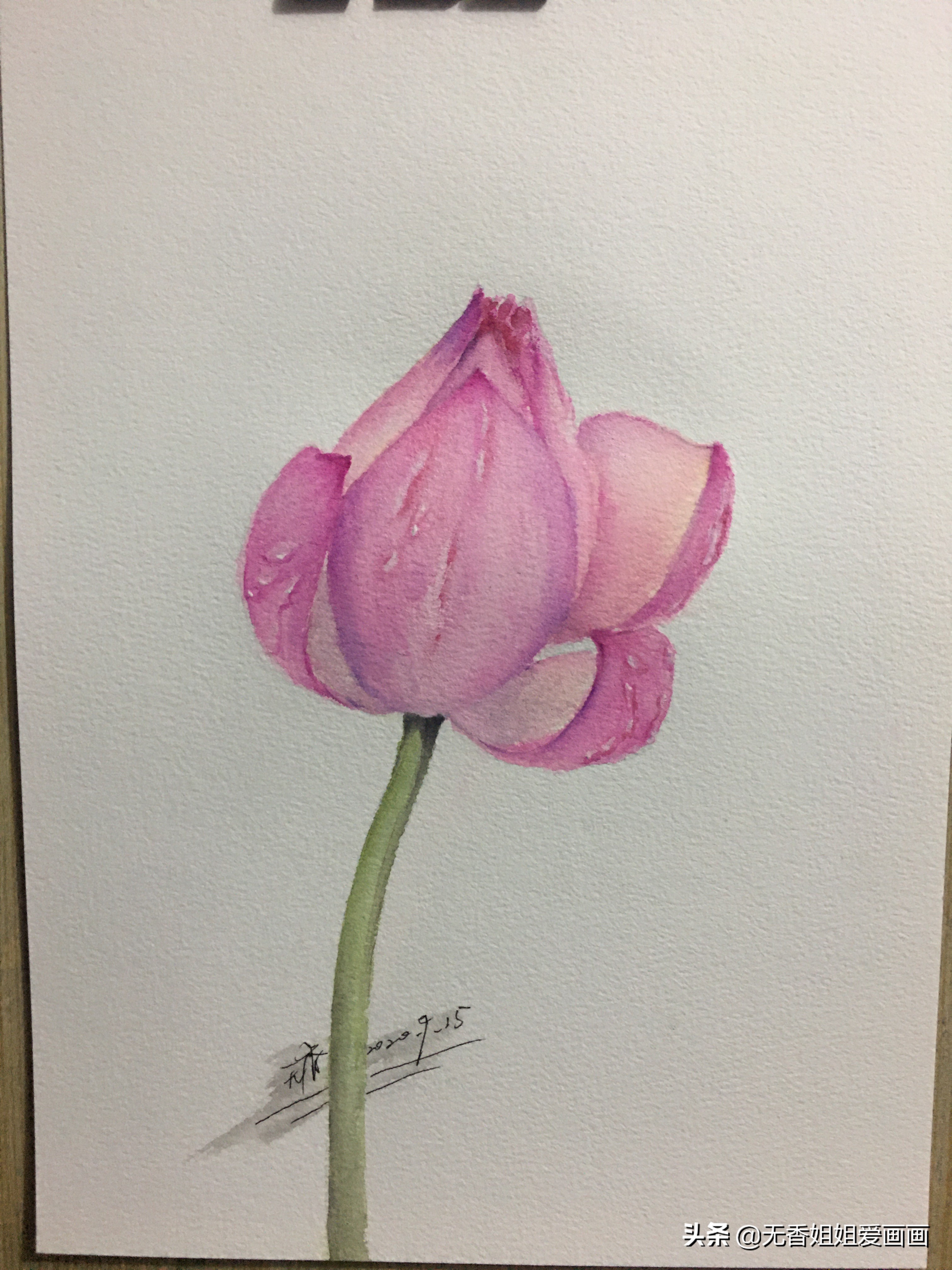 如何简笔画一朵美丽的荷花