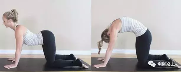 練瑜伽怎樣控制肋骨外翻？你需要養成這樣的練習習慣
