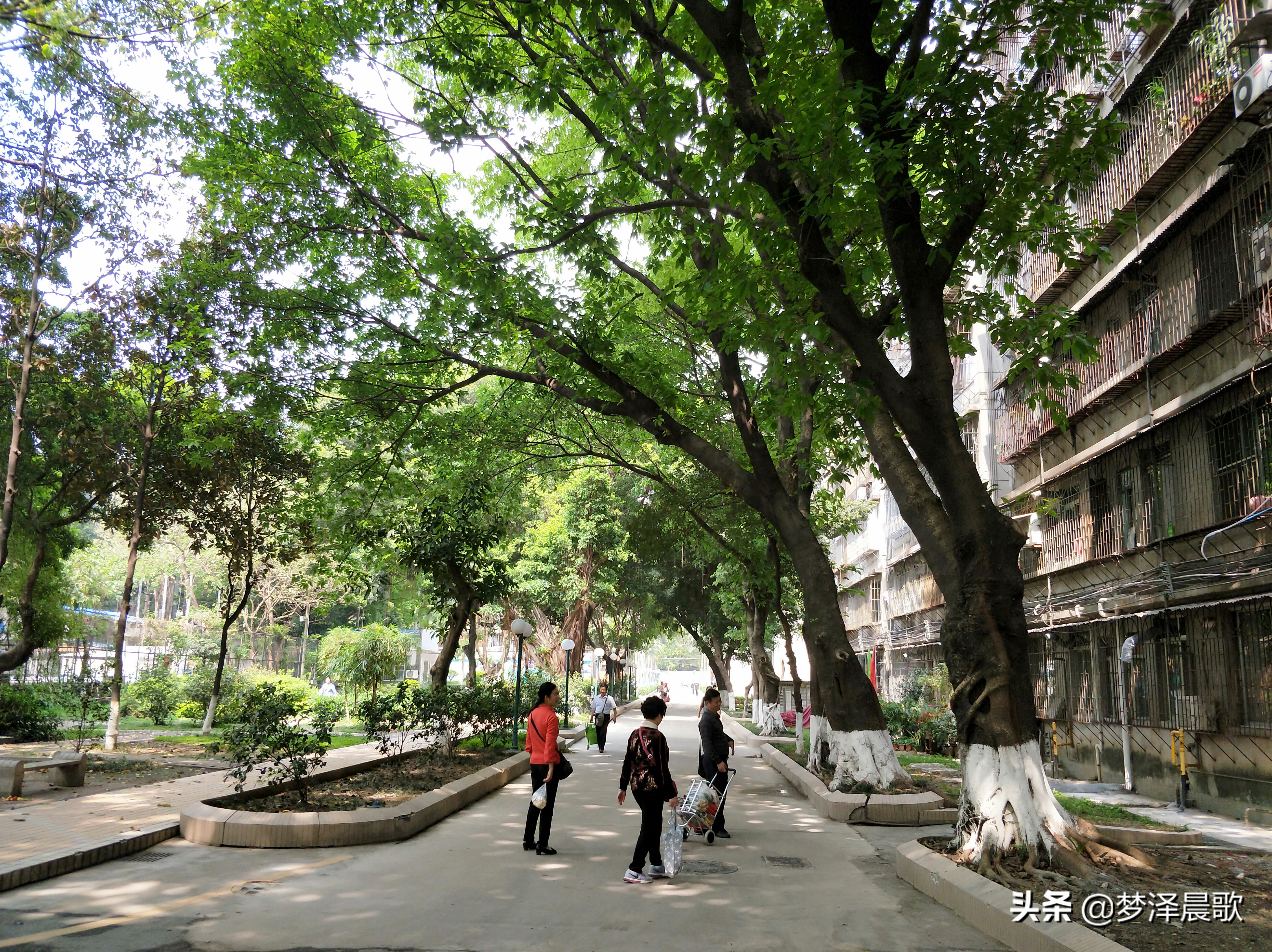 一流高职院校广东轻工职业技术学院