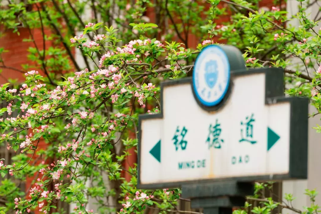 中国春天最美的10座大学，好想回去谈一场恋爱