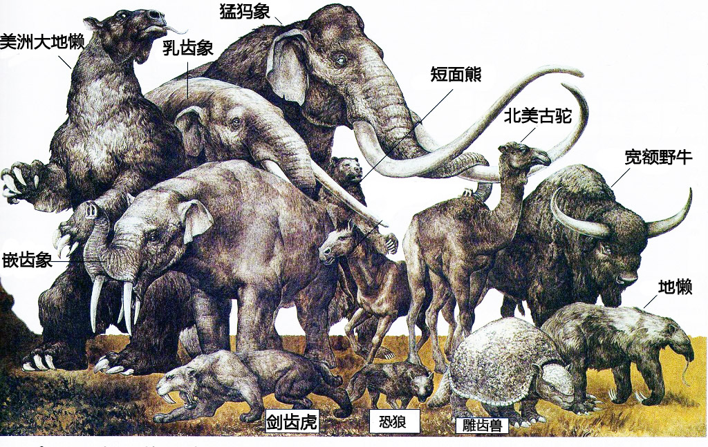 史前地球下了一场大雪，持续了3亿年，赤道都结冰了