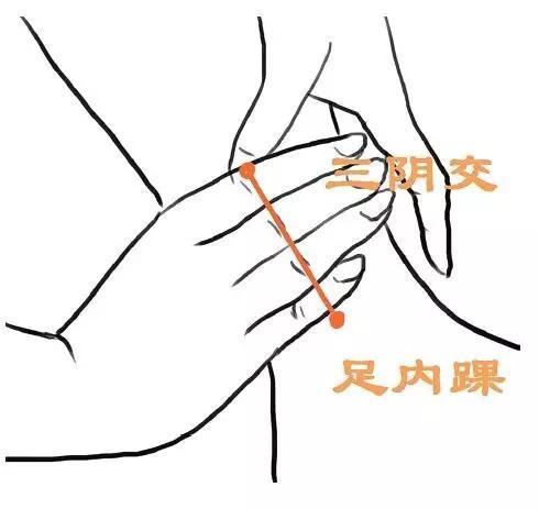 三阴交穴的4种穴位配伍套路（三阴焦位置图和作用）