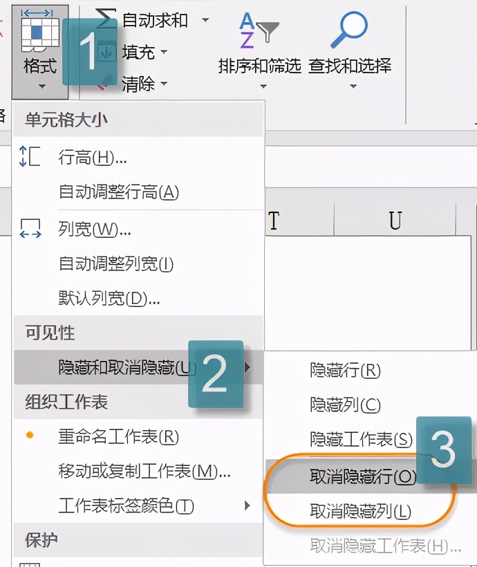 最基础：Excel行列操作指南