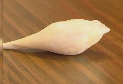 鱼宝是什么东西 -生活知识库-动动脑