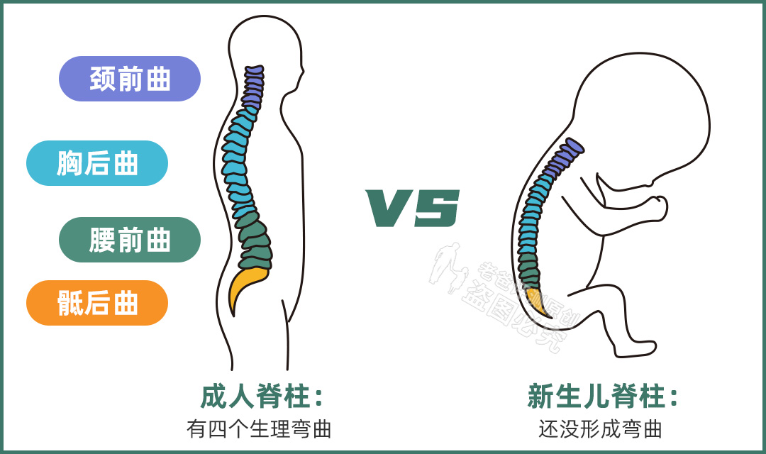 养娃路上那些坑，很多人中枪了！这些智商税产品，真不建议购买