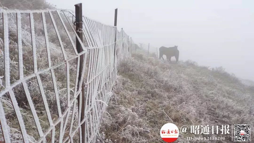 去看雪吗？带上这份攻略，你就是朋友圈最靓的仔