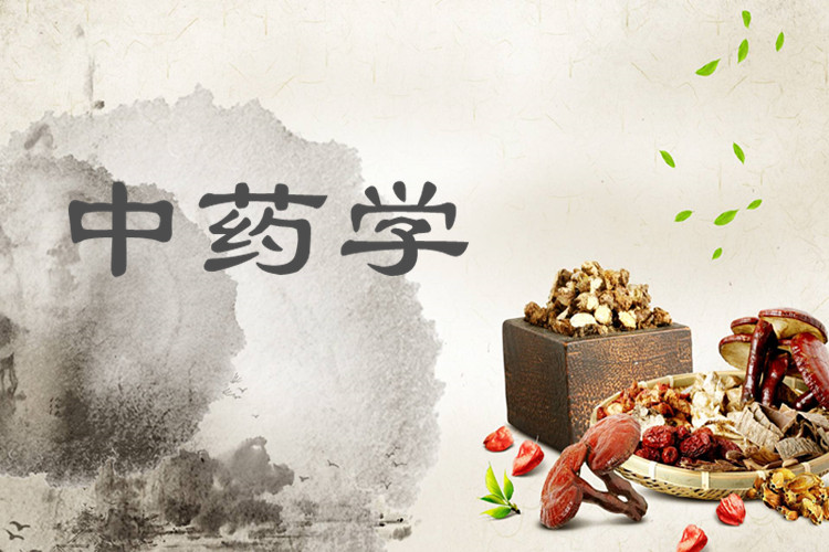 中药学和药学两者有什么区别，就业前景怎么样？考研方向怎样？