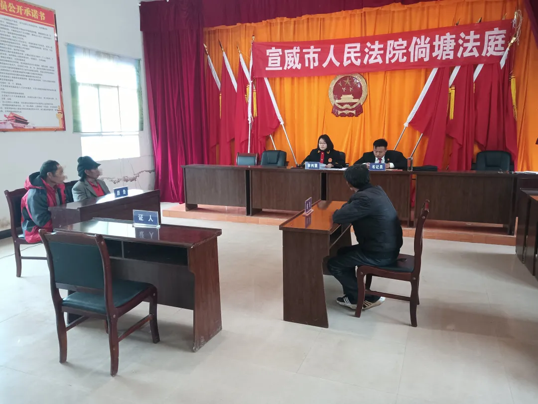 【我为群众办实事】宣威法官司法服务零距离