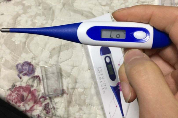 狗狗怎么测体温比较准确