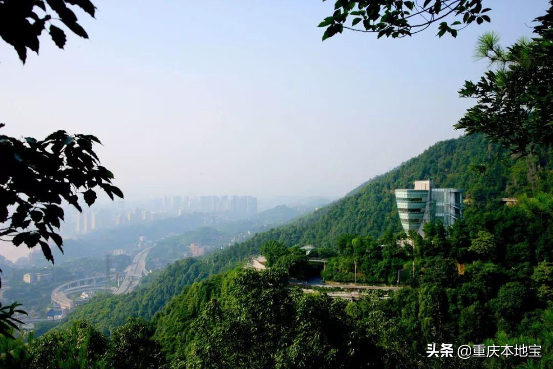 秋游去！重庆主城周边这些地方离得近又好耍！赏花、爬山、泡温泉