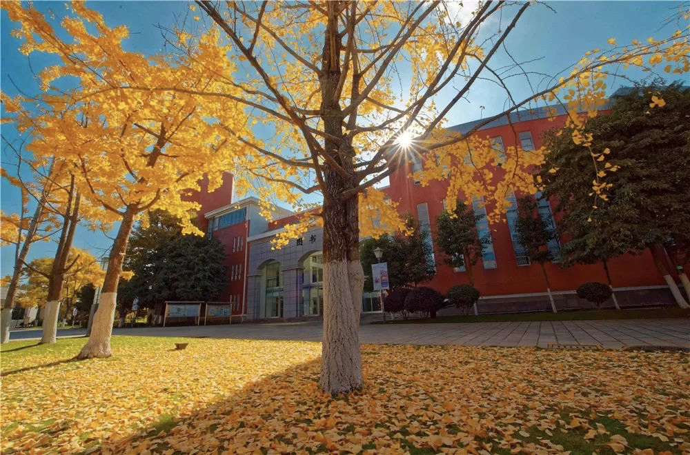 三中论剑 谁与争锋 | 昆明市第三中学第25届青年教师教学竞赛复赛