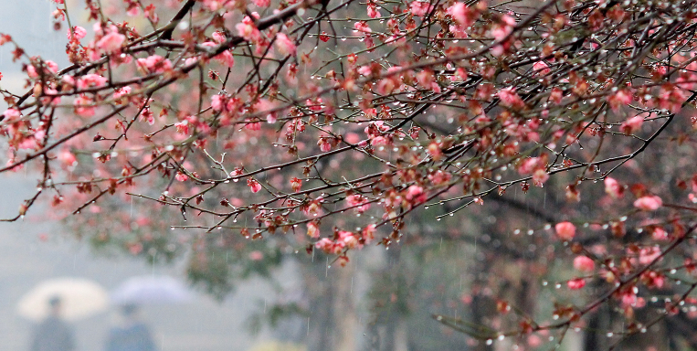 杭州电子科技大学2017部分省市录取分数