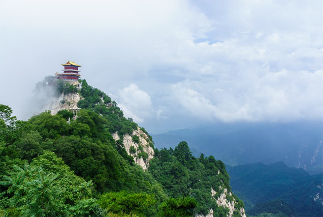 王芝霞：43岁皈依佛门，与家人断绝联系，年逾90仍隐居终南山