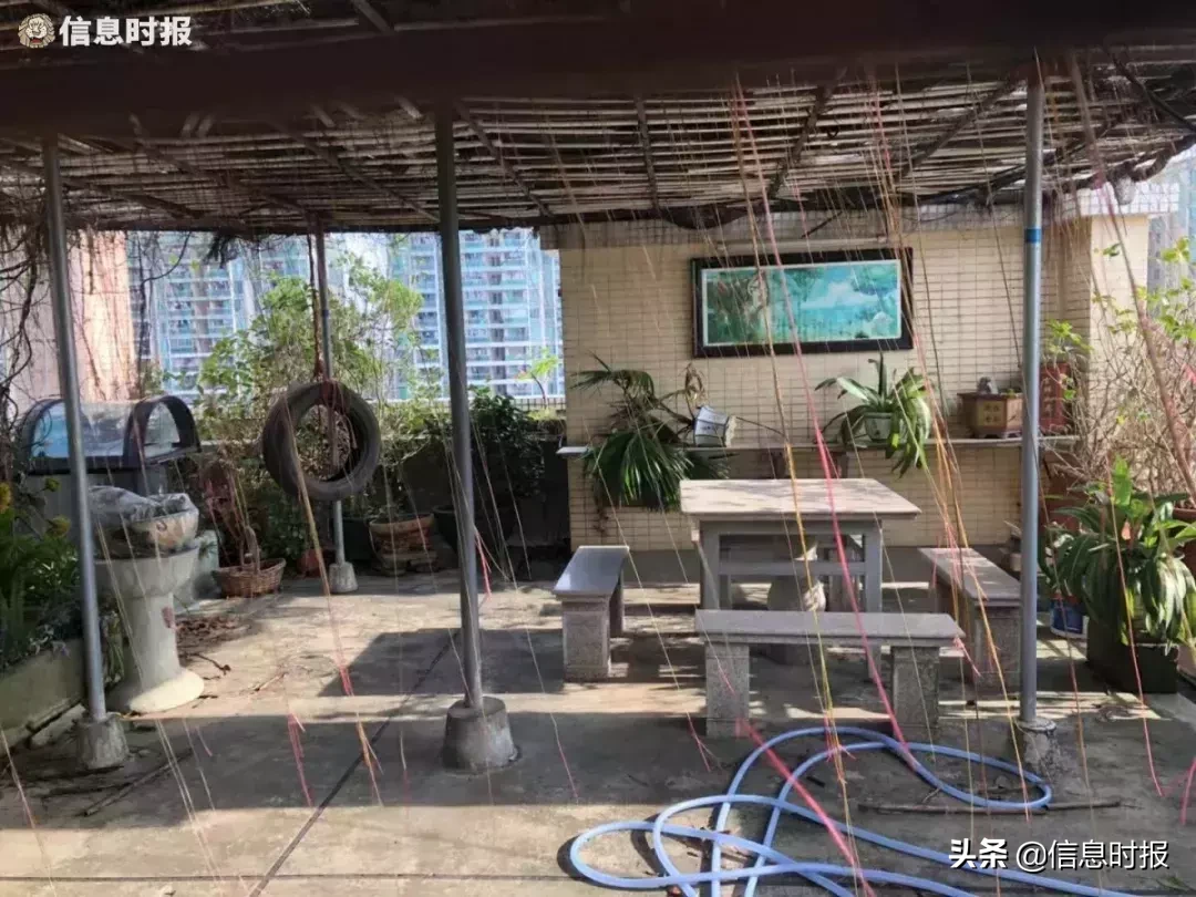 广州这些楼顶的天台，竟成了顶层住户“私家小园”，还上锁！该怎么办？