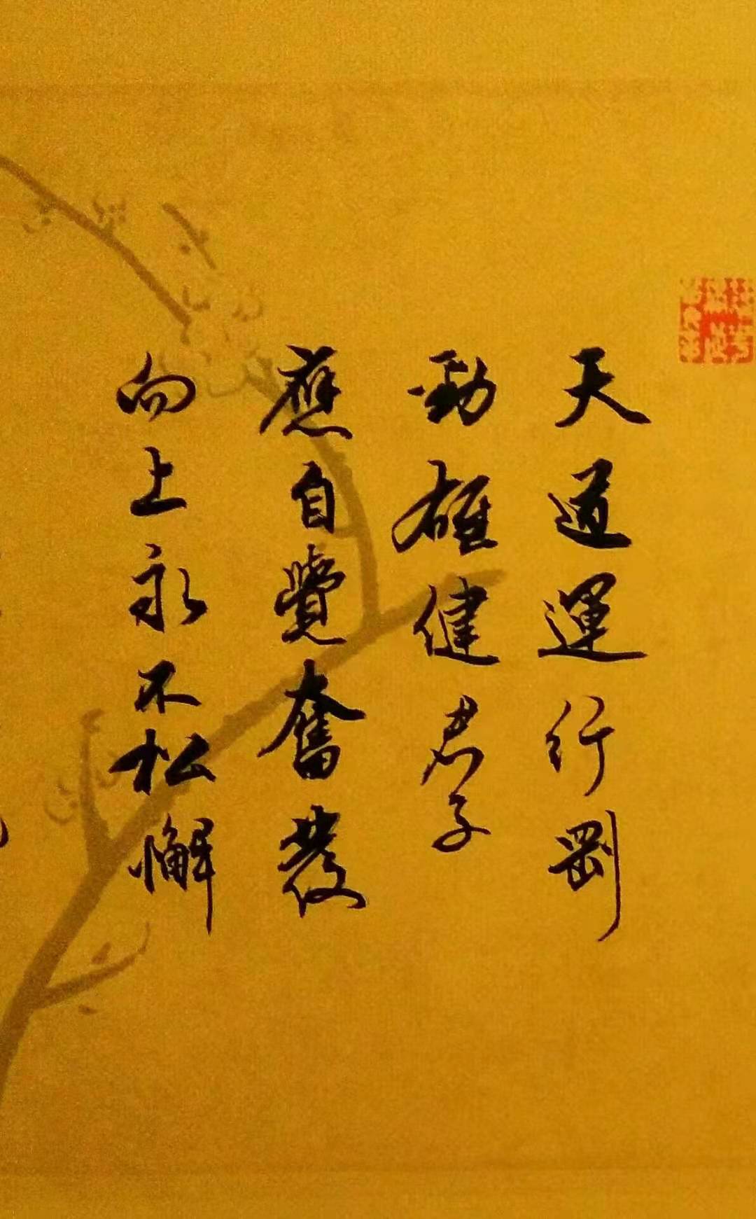 天行健的健怎么翻译 天行健的健是什么意思