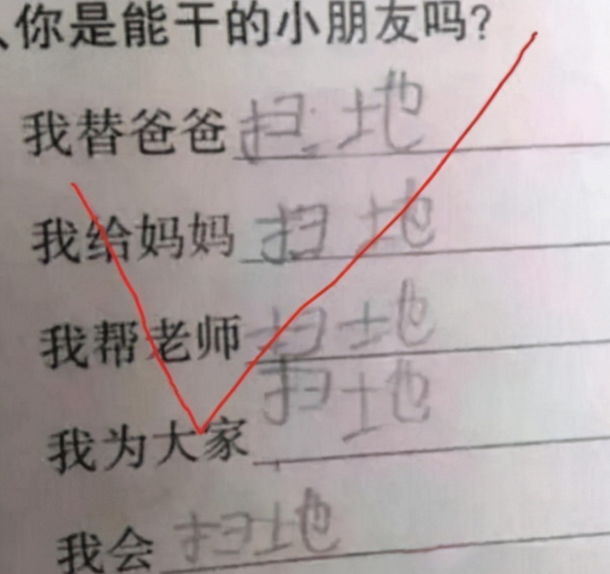 小学生写作业要认真细致，养成良好习惯