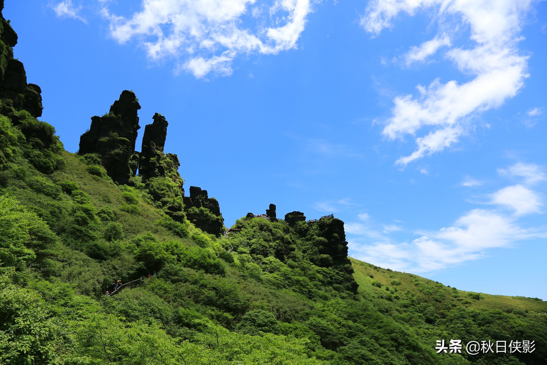 自駕遊梵淨山旅遊攻略(貴州這景區如今免票卻少有人知) - 悅聞天下