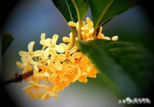 2020年南通中考作文：《那段日子，我忽然长大》