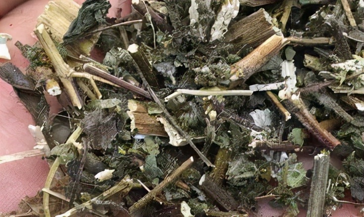 这些中药，药师也不一定能读的准！你能认识几个？