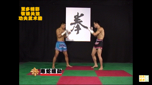 动画教学17招古泰拳必杀技，招招凶狠，练熟了就是你的自卫绝招