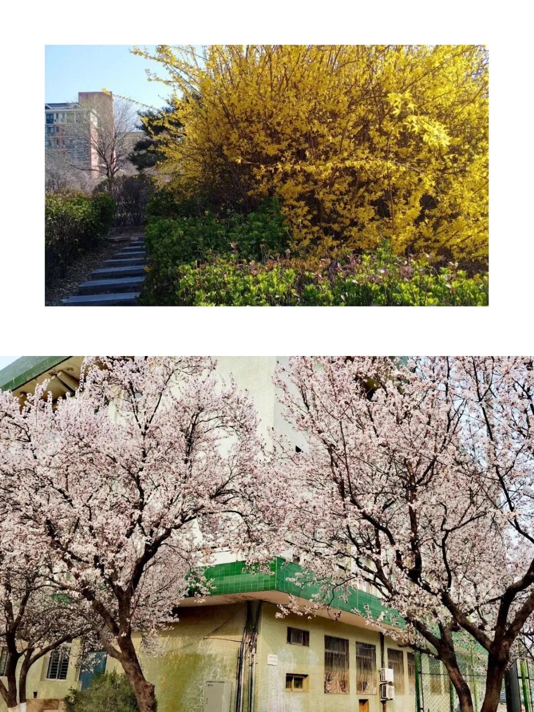 属于你我的，山师四季