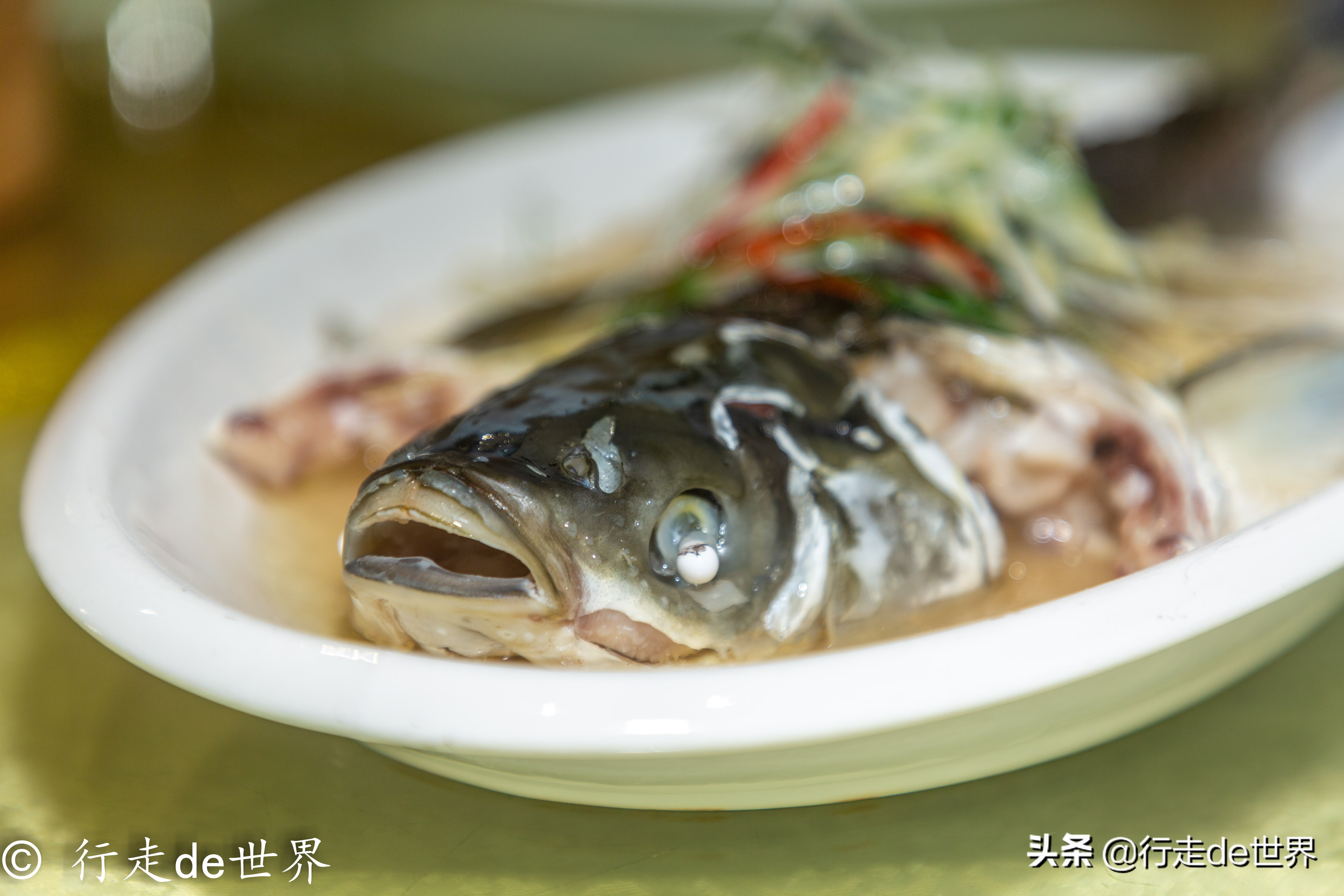 国庆假期相聚顺德，一次性打卡六家餐厅，品味地道顺德味道