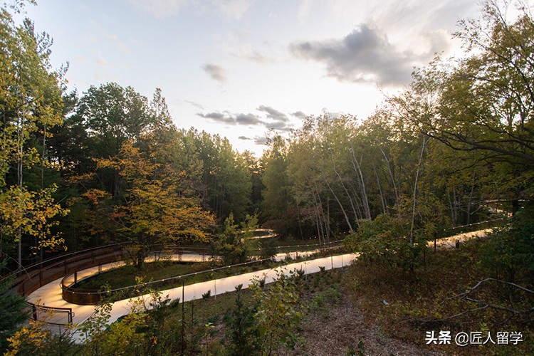 多伦多大学哪个校区适合你？快速了解每一个独特之处