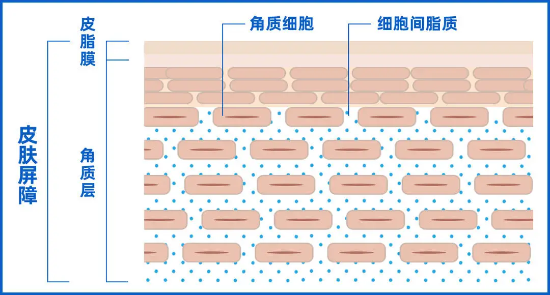 90%的皮肤问题是「作」出来的，快来看看你中招了没？