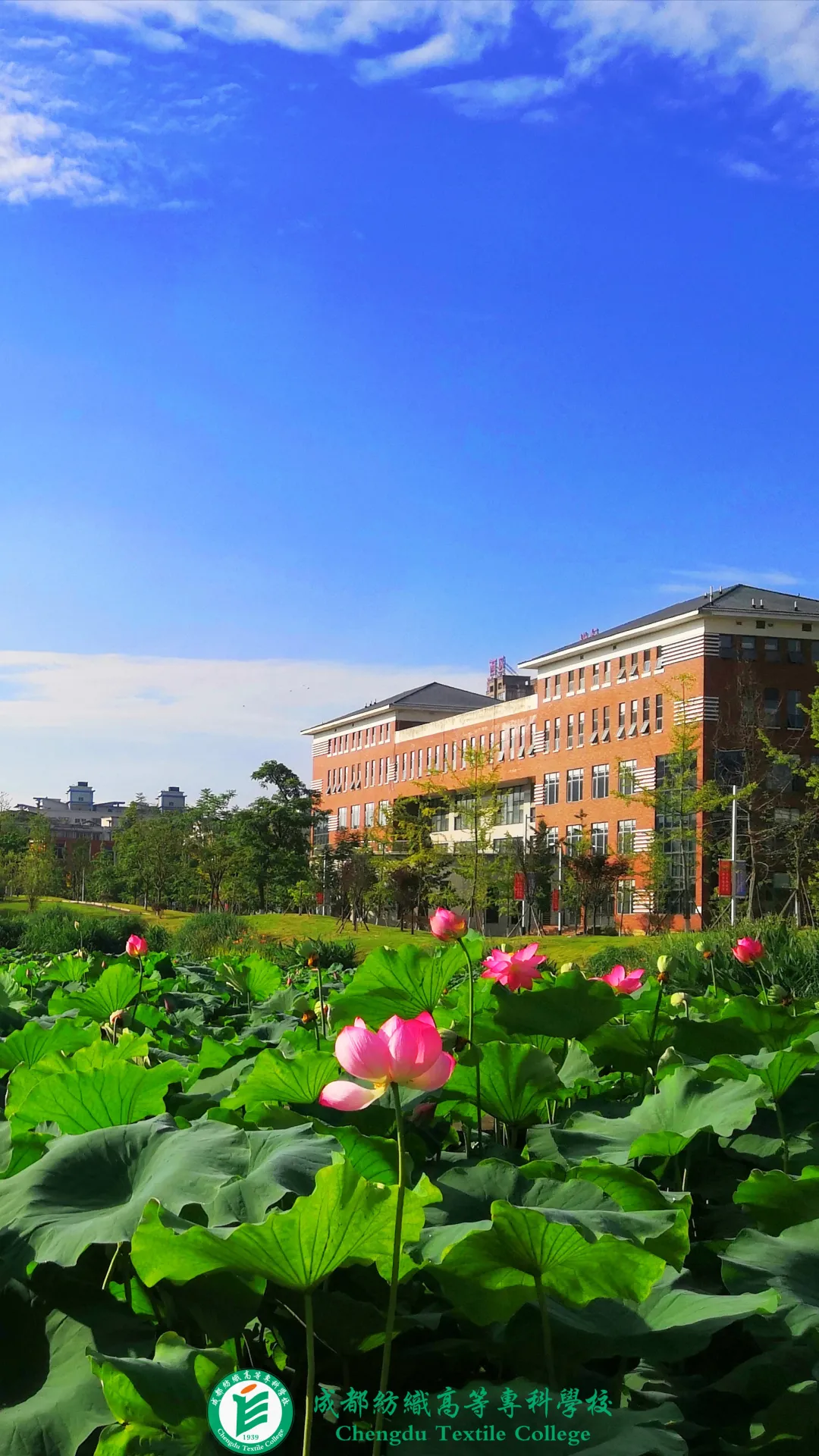 超好看！四川各高职院校专属壁纸，建议收藏