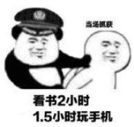 你被逮捕了表情包｜我要逮捕你，因为你偷走了我的心