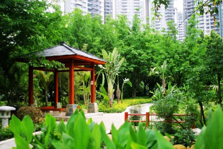 广州10间最贵幼儿园曝光！3年学费可以买辆保时捷！