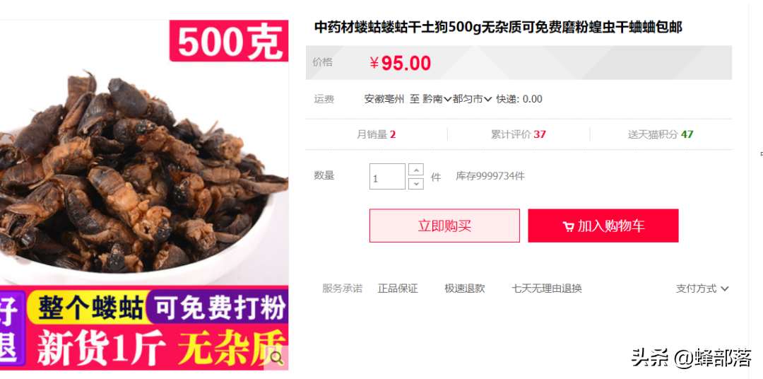 土狗價格,土狗價格多少錢一斤