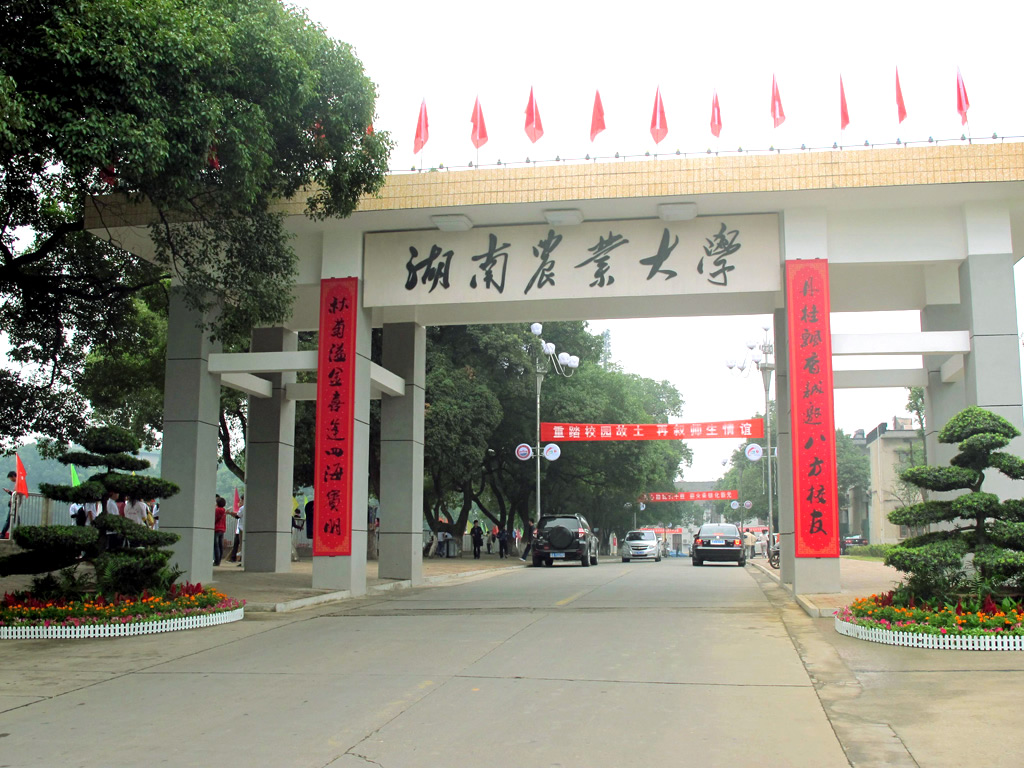 中南林业科技大学是一本吗（湖南省最好的4所一本大学）