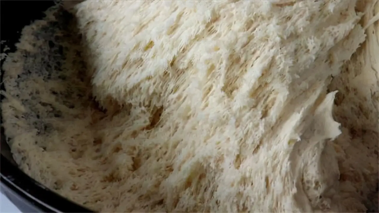 面粉如何快速发酵？详细讲解和面发面技巧，看一遍就能学会