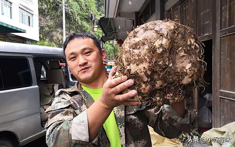 南方人从小就吃，其实全株含毒，如今5元一斤，农民大量种植