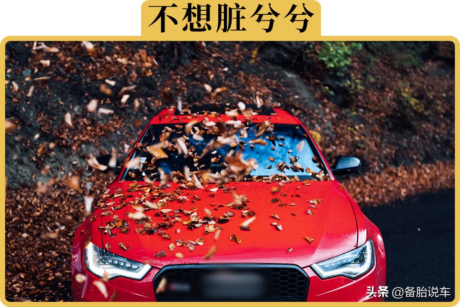 真的有必要罩车衣吗(有必要买汽车罩衣吗)