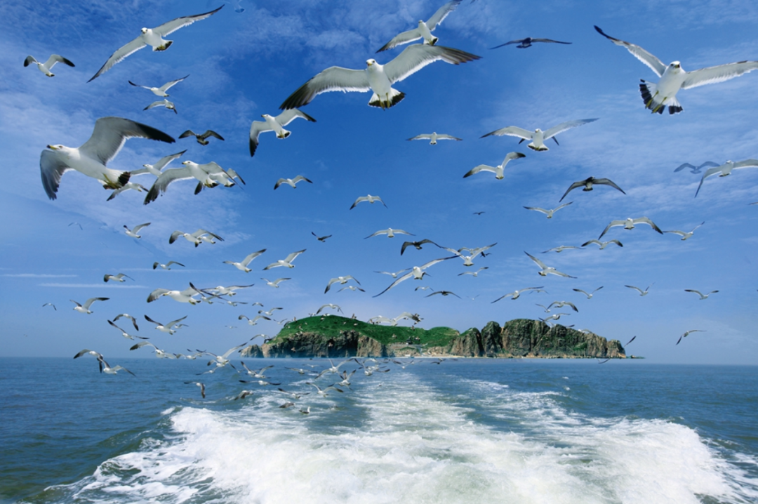 来荣成上大学，威海海洋职业学院呼叫你！