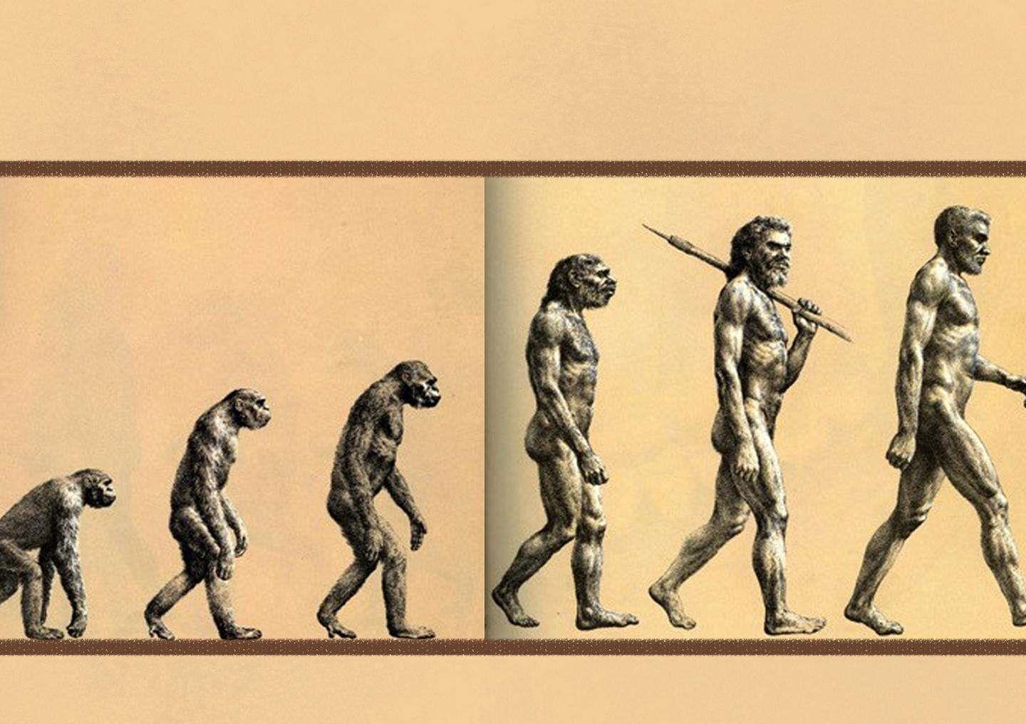 心理学:总是认为自己人际关系很复杂的人,层次都很低