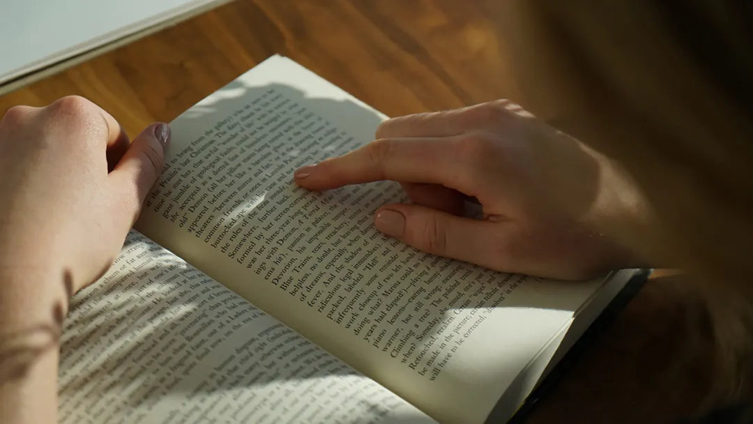 混序生态与开放文化