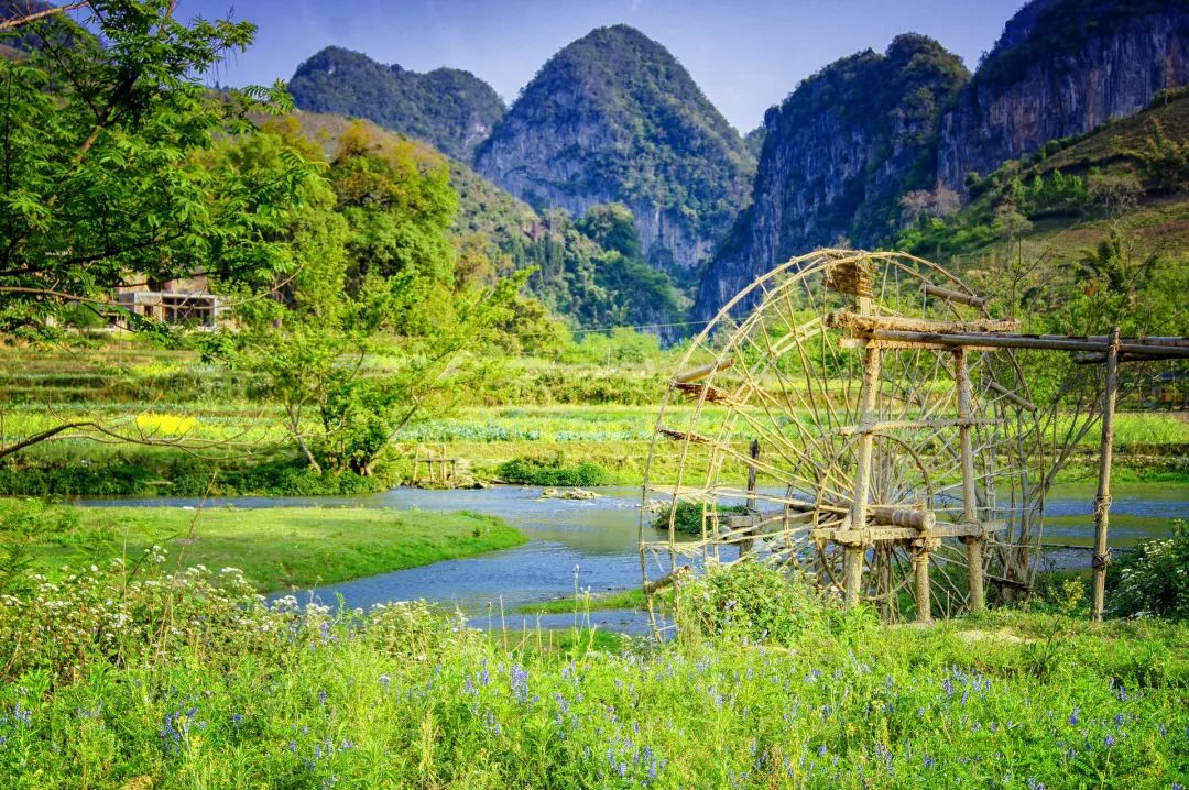 夏天即将结束,40张照片,带你一起回顾2021年的美好