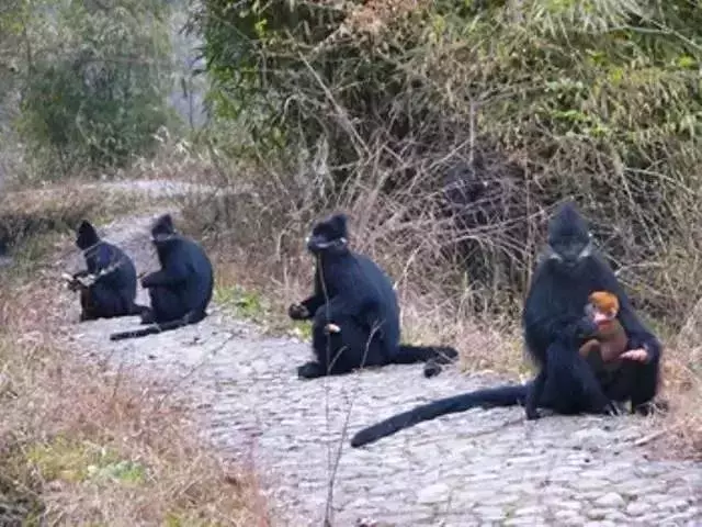 还有9天，贵州人集体放假！85个度假胜地马上安排！